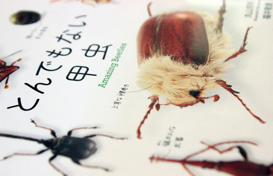 【書評】『とんでもない甲虫』をとことん楽しむアイデア集